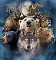 Ismerd meg erőállatod ÉLŐ ONLINE